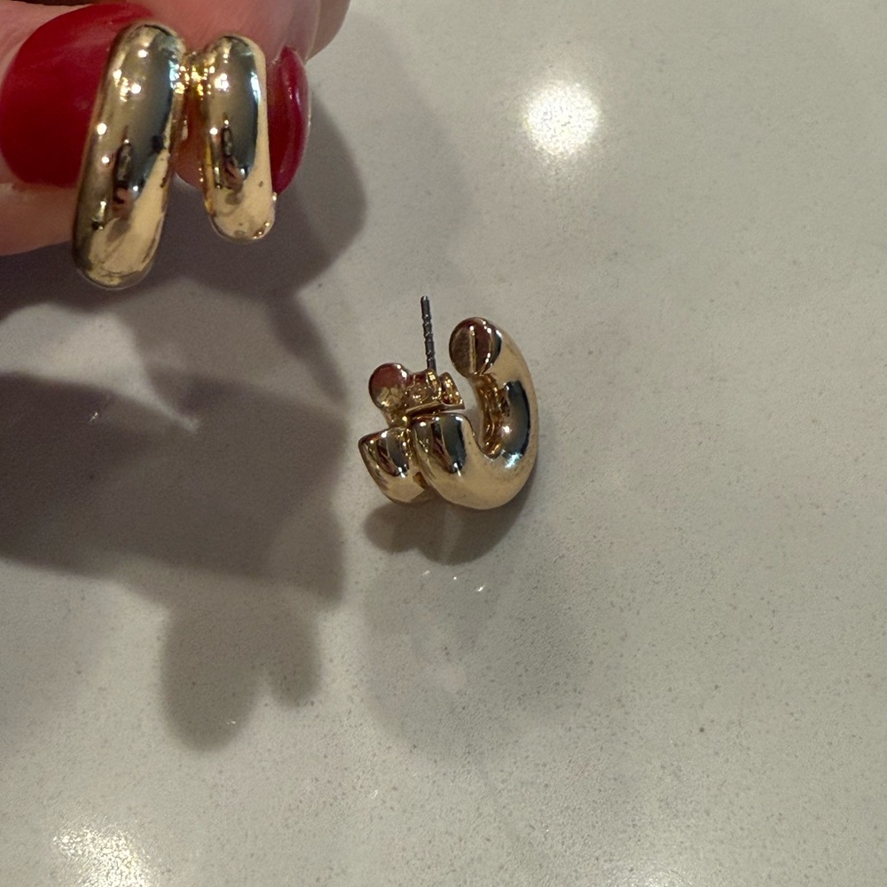 NWOT Double Hoop earrings
